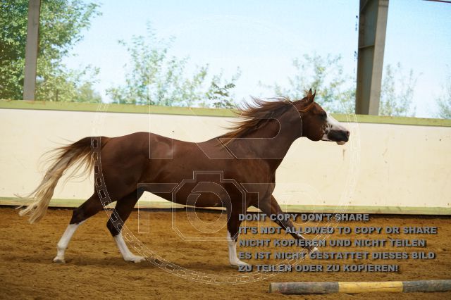 a_K3F04129.JPG